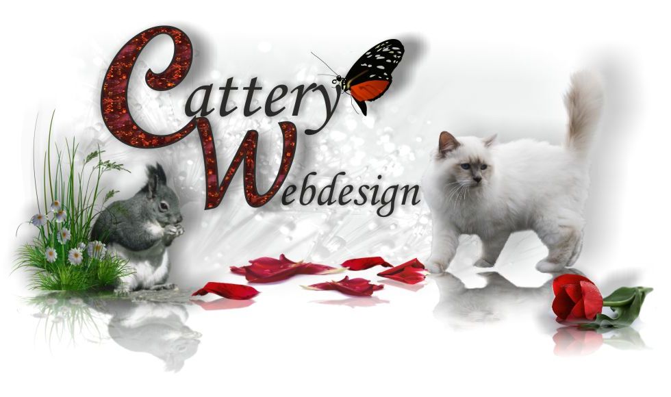 Cattery Webdesign